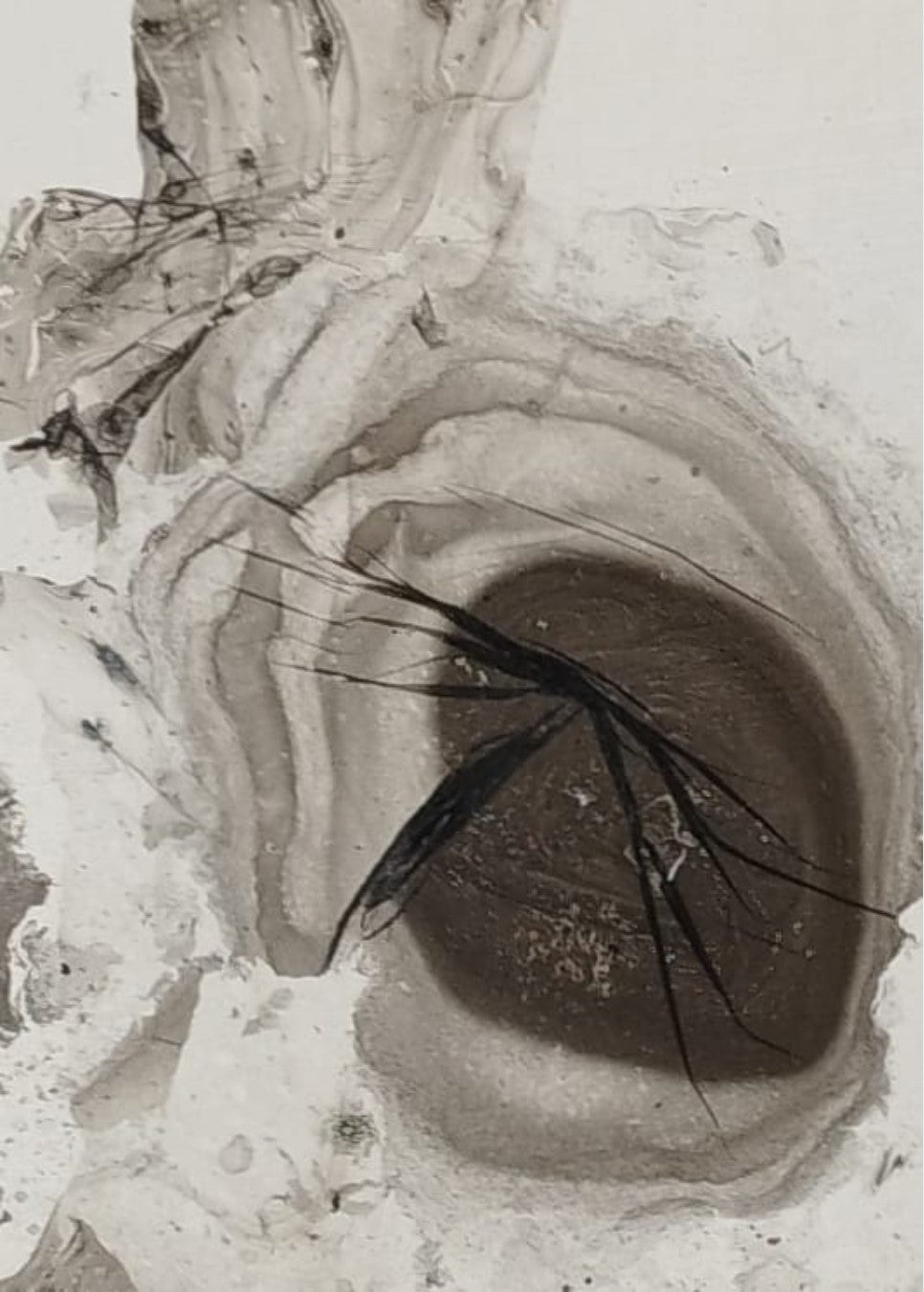 Monochromes abstraktes Kunstwerk "Schwarze Eleganz" von Olga Kühn (gerahmt 31x23 cm, Papierformat 29x20 cm). Minimalistische Darstellung in Schwarz und Weiß.