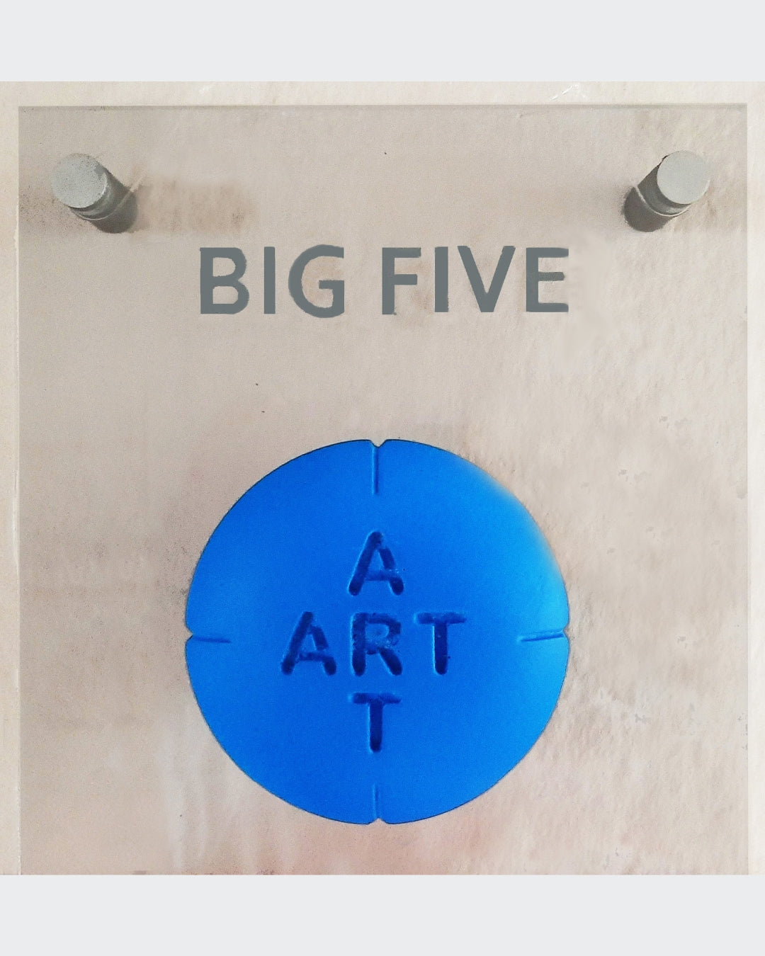 Wandobjekt BIG FIVE von Amos Plaut: Fünf farbige Porzellan-Pillen mit „ART“-Prägung auf Plexiglasplatte, zeitgenössische Konzeptkunst.