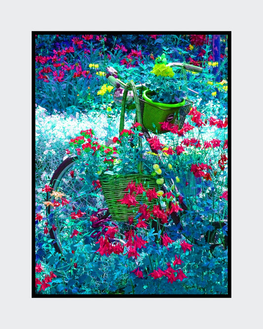 „Nein, fahren kann man mit dem Rad wohl nicht mehr“ – Kunstfotografie von Ralf Sempf. Ein altes Fahrrad, überwuchert von bunten Blumen, eingebettet in eine traumhafte Gartenlandschaft.