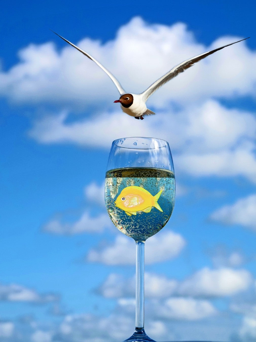 Ralf Sempf Weißwein mit Fisch und Lachmöwe, surrealistische Fotomontage, Möwe fliegt über Fisch im Weinglas, blauer Himmel