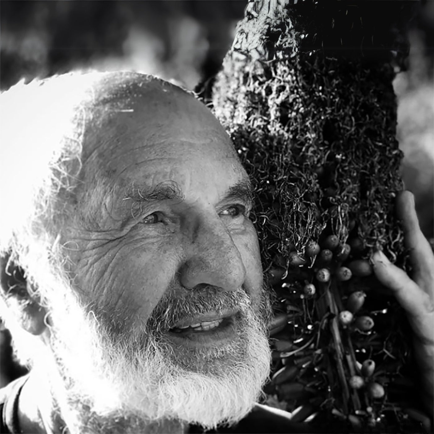 Künstler Amos Plaut