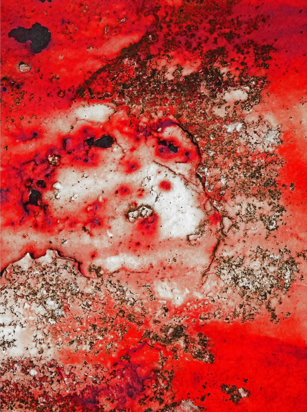 Fotografie "Ein Mädchengesicht" von Ralf Sempf. Ein geheimnisvolles Motiv wurde in ein Mädchengesicht verwandelt. Gedruckt auf Leinwand mit Keilrahmen, Format 80 x 60 cm. Bei FemArtSPACE.