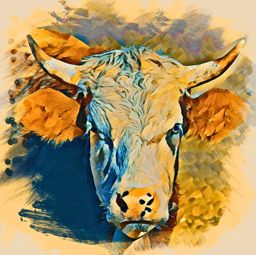 Bin ich nicht schön? Bearbeitete Fotografie auf Leinwand mit Keilrahmen 70x70 cm