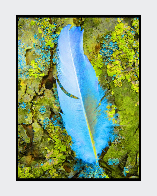 Digitale Fotografie "Nur eine Feder" von Ralf Sempf, zeigt eine einzelne Feder in Nahaufnahme, detailreich bearbeitet, auf Leinwand mit Keilrahmen gedruckt, 80x60 cm. Bei FemArtSPACE.