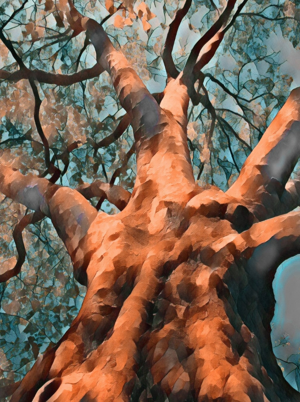 Digitale Fotografie auf Leinwand von Ralf Sempf, Titel: "Himmelwärts strebend", 80 x 60 cm, Leinwand mit Keilrahmen, expressive Bearbeitung, warme Orangetöne, bläulich-grüne Blätter, Froschperspektive, kraftvolle Darstellung eines Baumes, einzigartige Textur. Bei FemArtSPACE.
