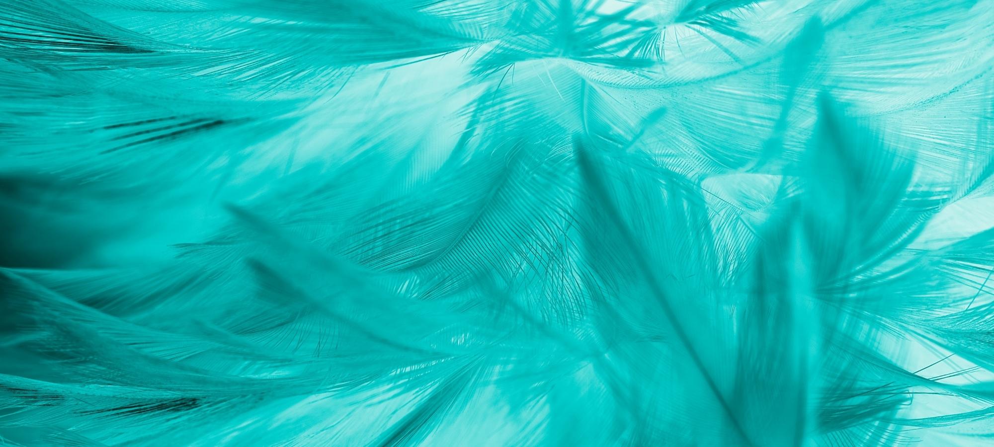 Dekoelement von FemArtSPACE: Federn, türkisfarben.