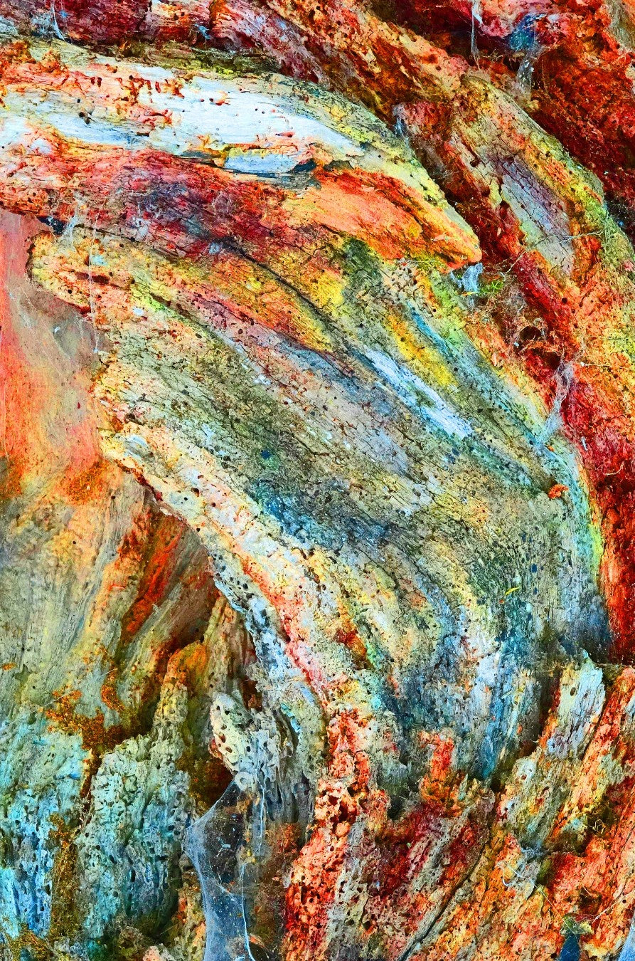 Ralf Sempf Farbexplosionen 13/3, abstraktes Kunstfoto zerborstener Ast, Rot-Orange-Gelb-Variation