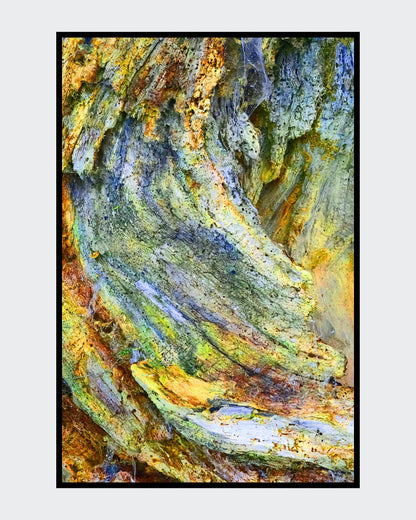 Ralf Sempf Farbexplosionen 2/3, abstraktes Kunstfoto zerborstener Ast, Gelb-Grün-Blau-Variation