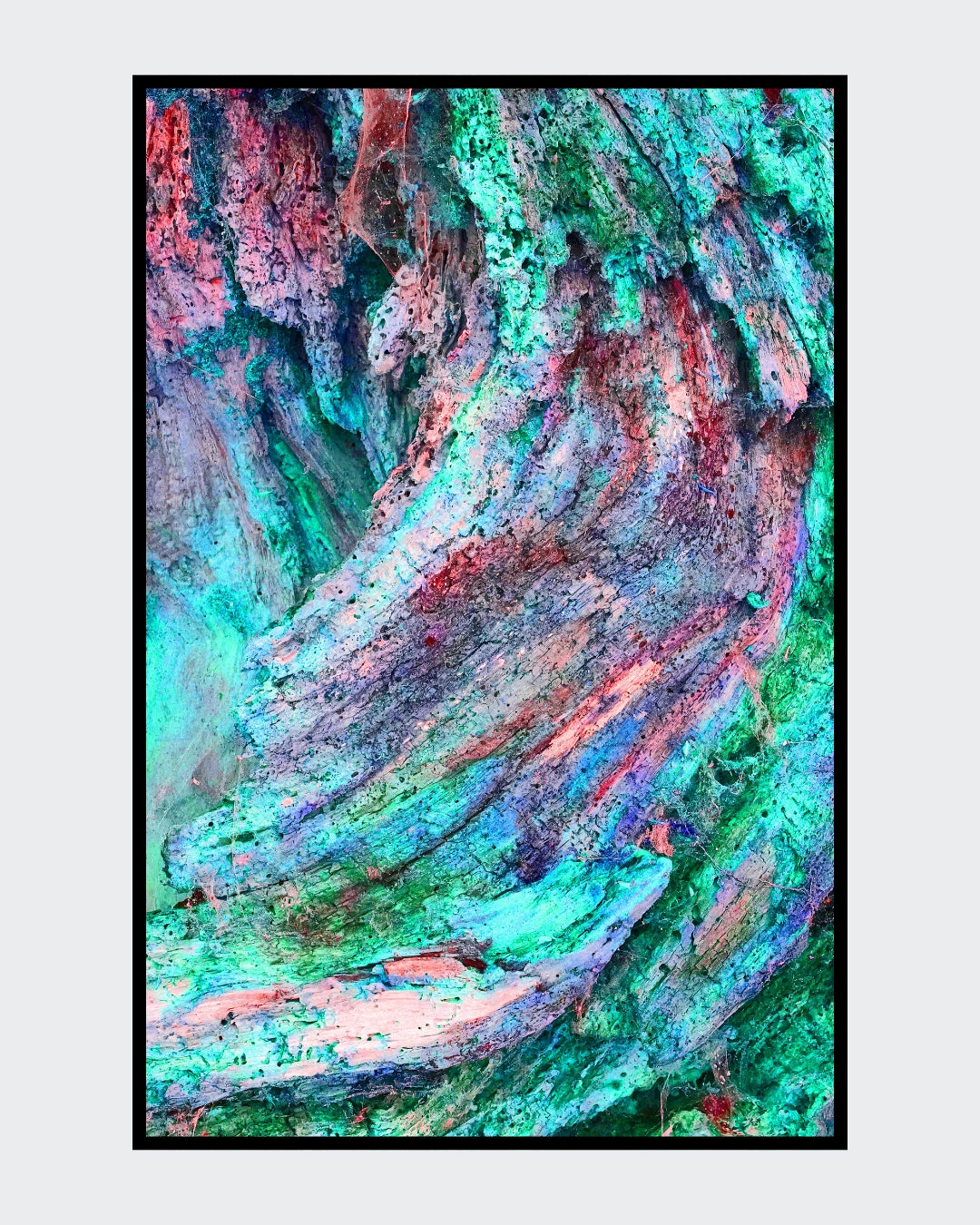 Ralf Sempf Farbexplosionen 3/3, abstraktes Kunstfoto zerborstener Ast, Pink-Türkis-Rot-Variation