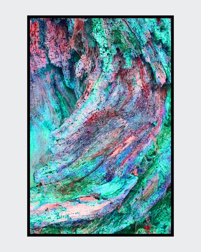 Ralf Sempf Farbexplosionen 3/3, abstraktes Kunstfoto zerborstener Ast, Pink-Türkis-Rot-Variation